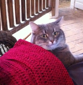 Mimi crocheting